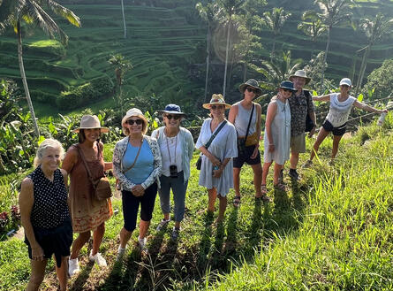 Rice fields Tegallaland Bali Rice fields Tegallaland Bali